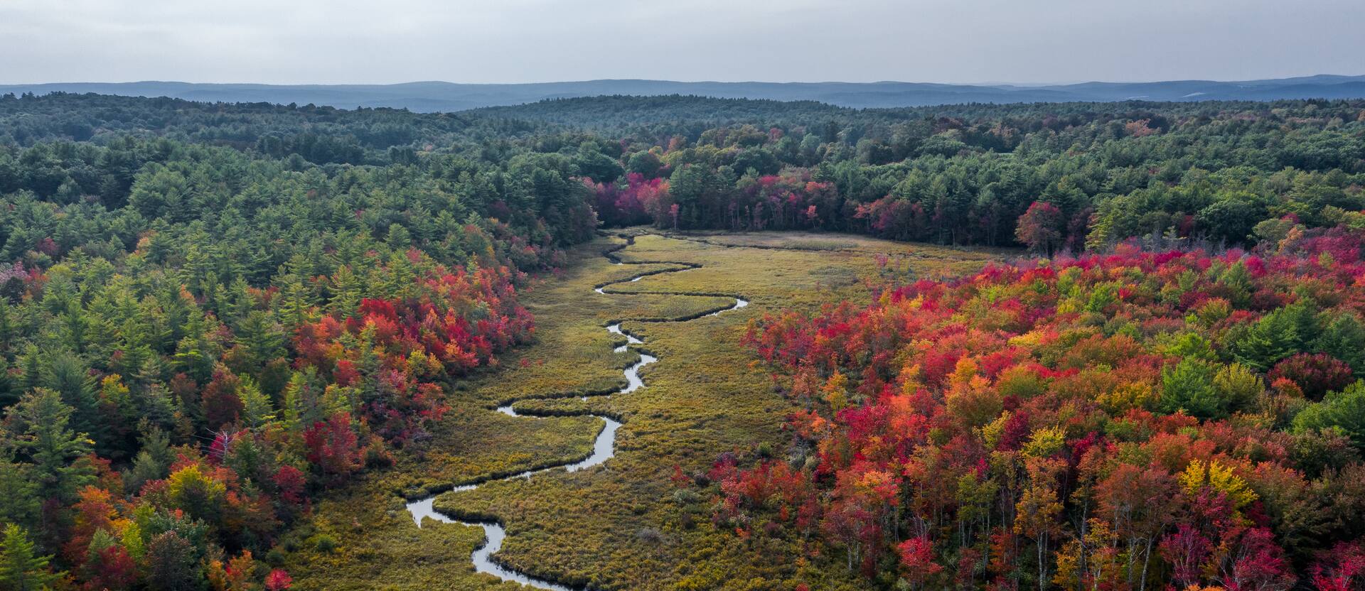 Aerial view of the North Quabbin region in autumn: a stream winding through open marsh grass, framed by red and orange maples and dark pine woods.